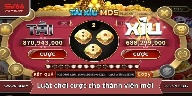 Luật chơi cược cho thành viên nên tham gia